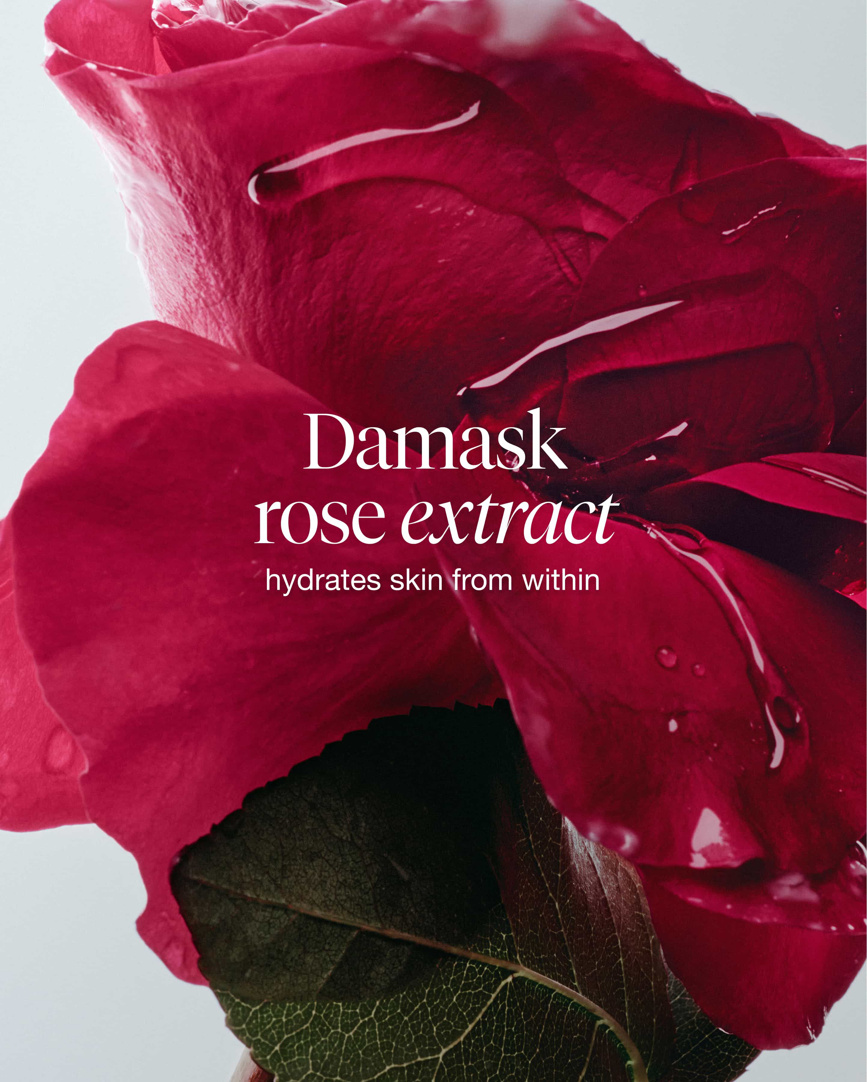 rose deep hydration facial toner