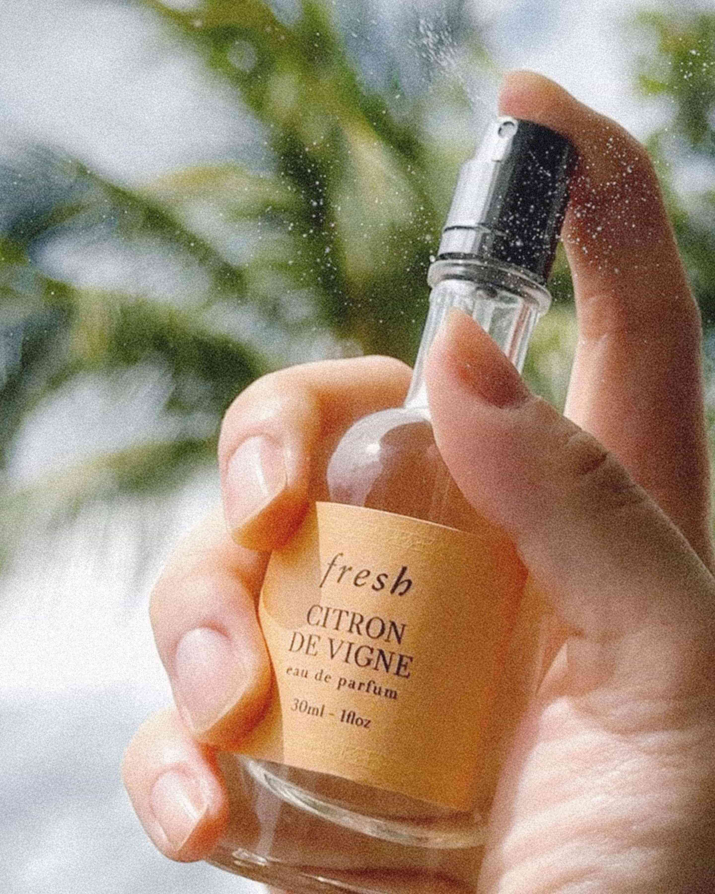 citron de vigne eau de parfum