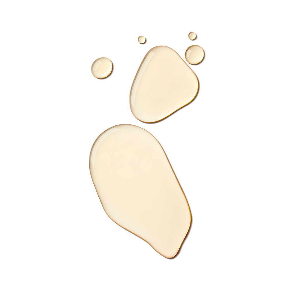 Kombucha Antioxidant Essence