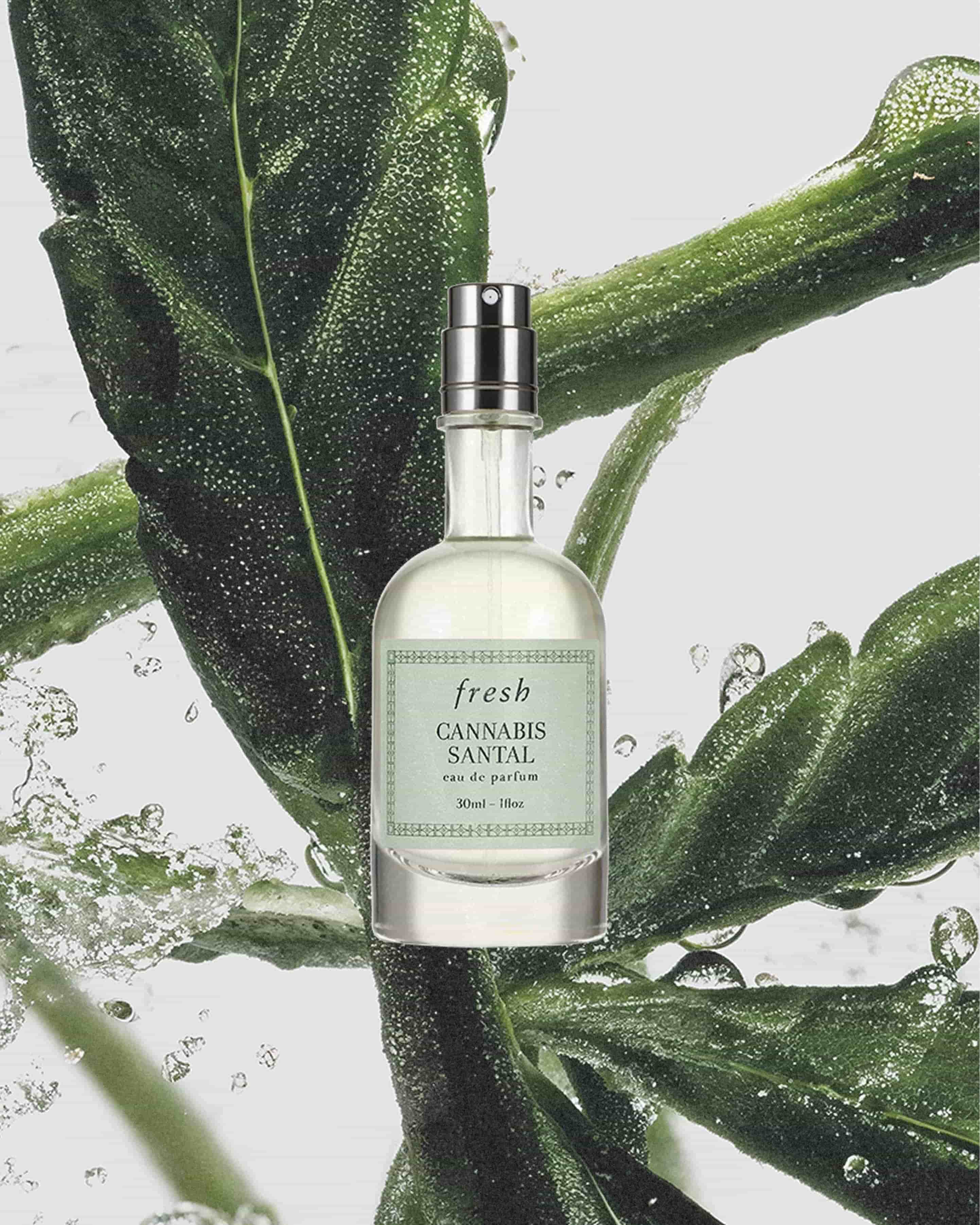 cannabis santal eau de parfum