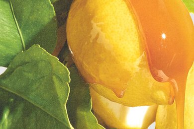 sugar lemon eau de parfum-Fragance-Image