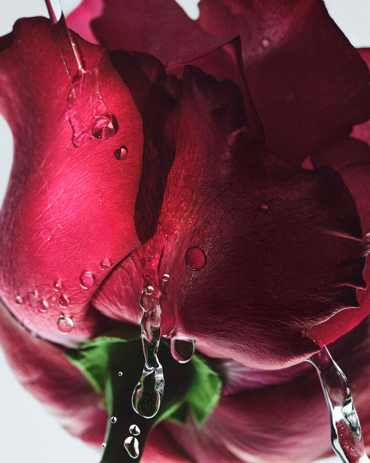 rose hydration ritual