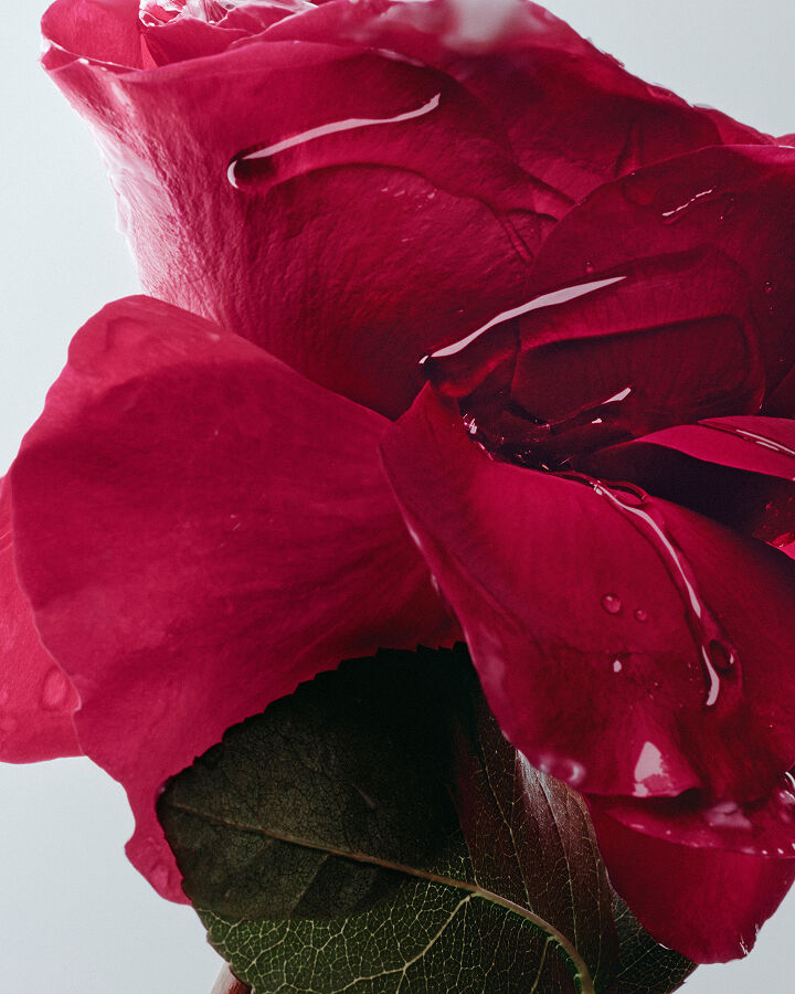 s&eacute;rum hydratation intense enrichi en huile de rose