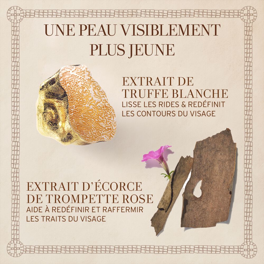 Cr&egrave;me Ancienne S&eacute;rum pour les yeux &agrave; la truffe blanche