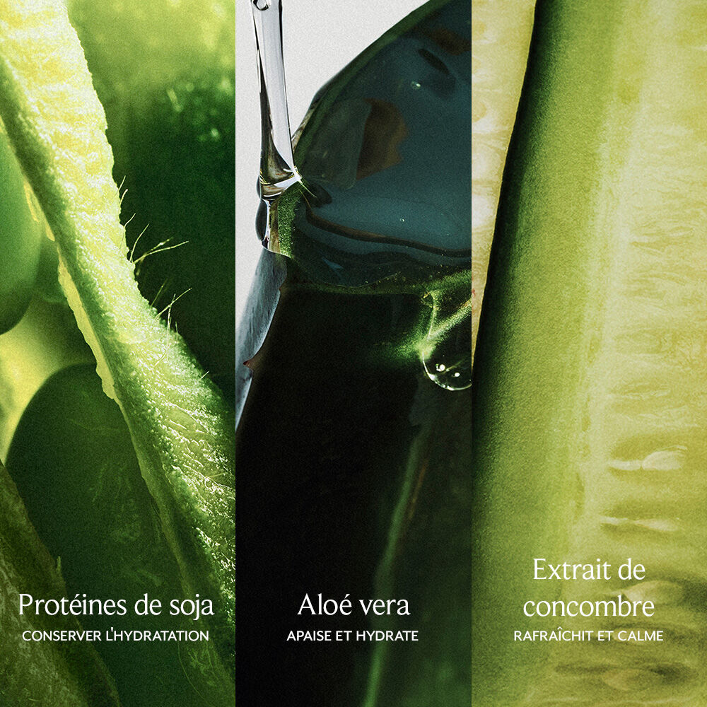 Nettoyant Visage au Soja