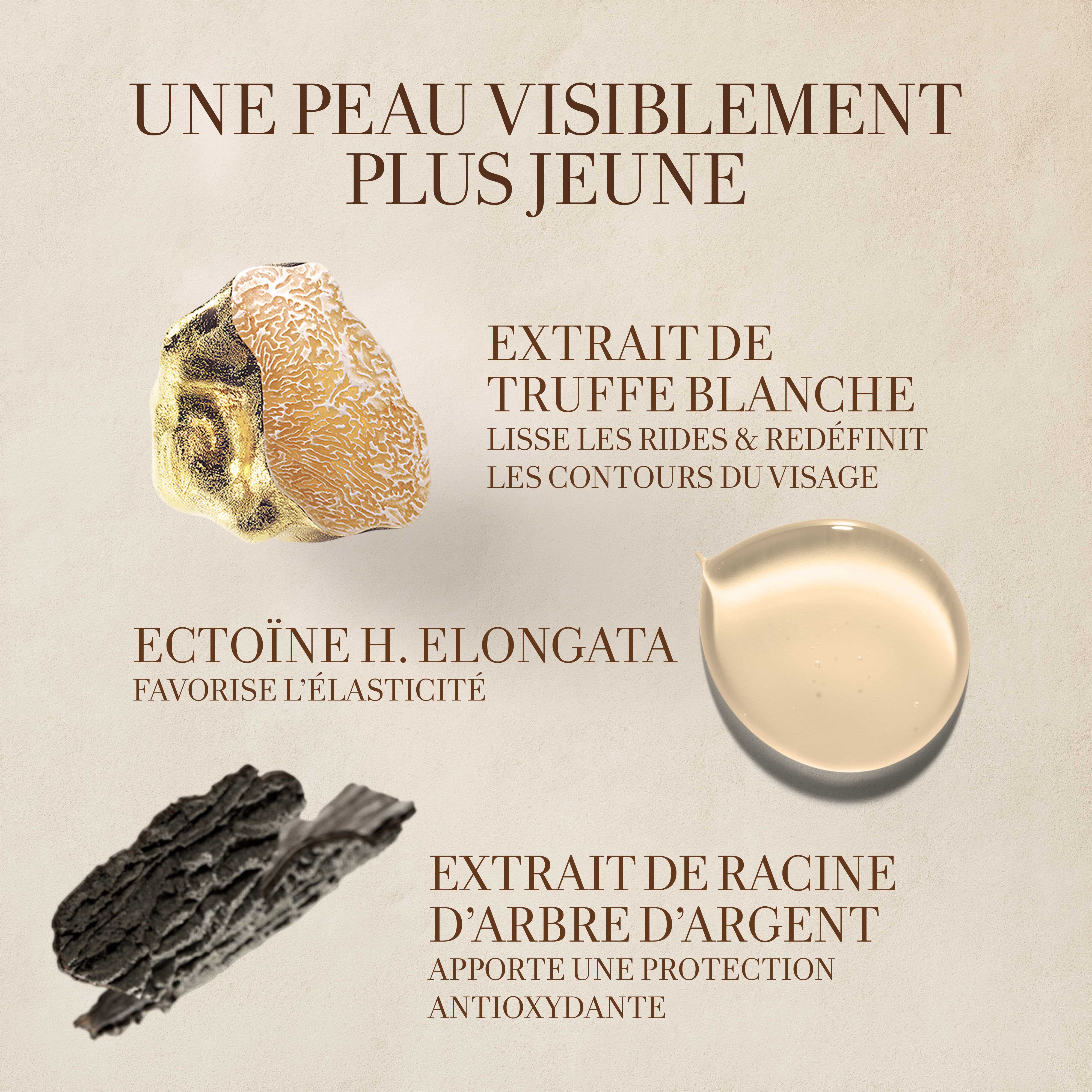 Cr&egrave;me Ancienne White Truffle Face Cream