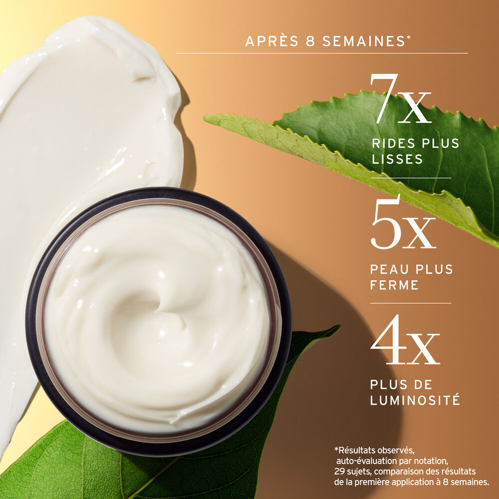 Black Tea Anti-Aging Ceramide Moisturizer