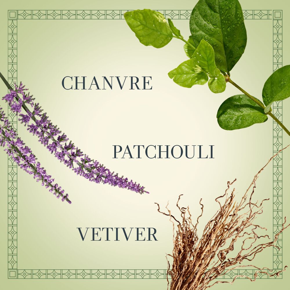 Cannabis Santal Eau de Parfum