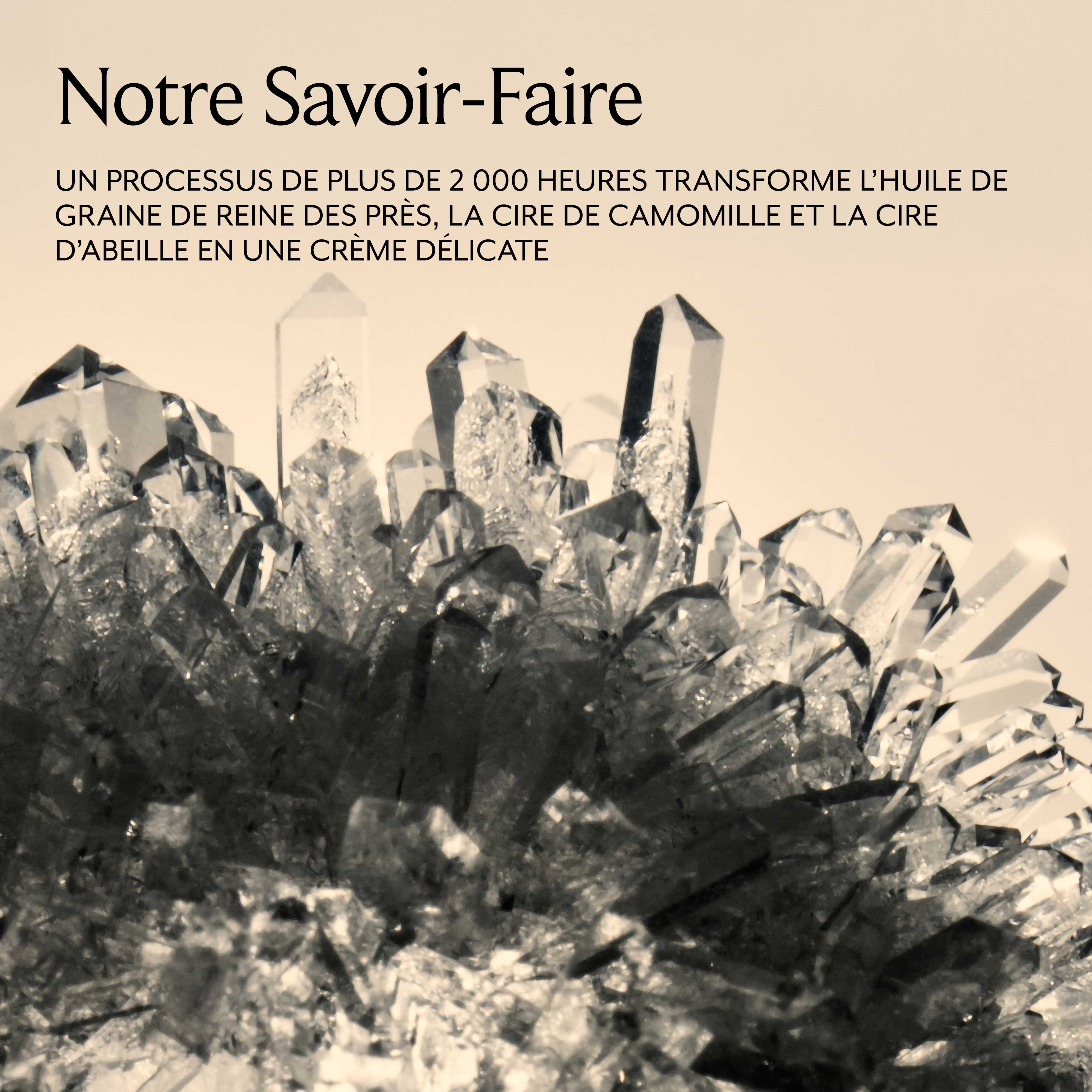 Cr&egrave;me Ancienne