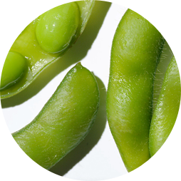 soy