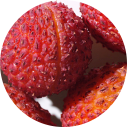 lychee seed
