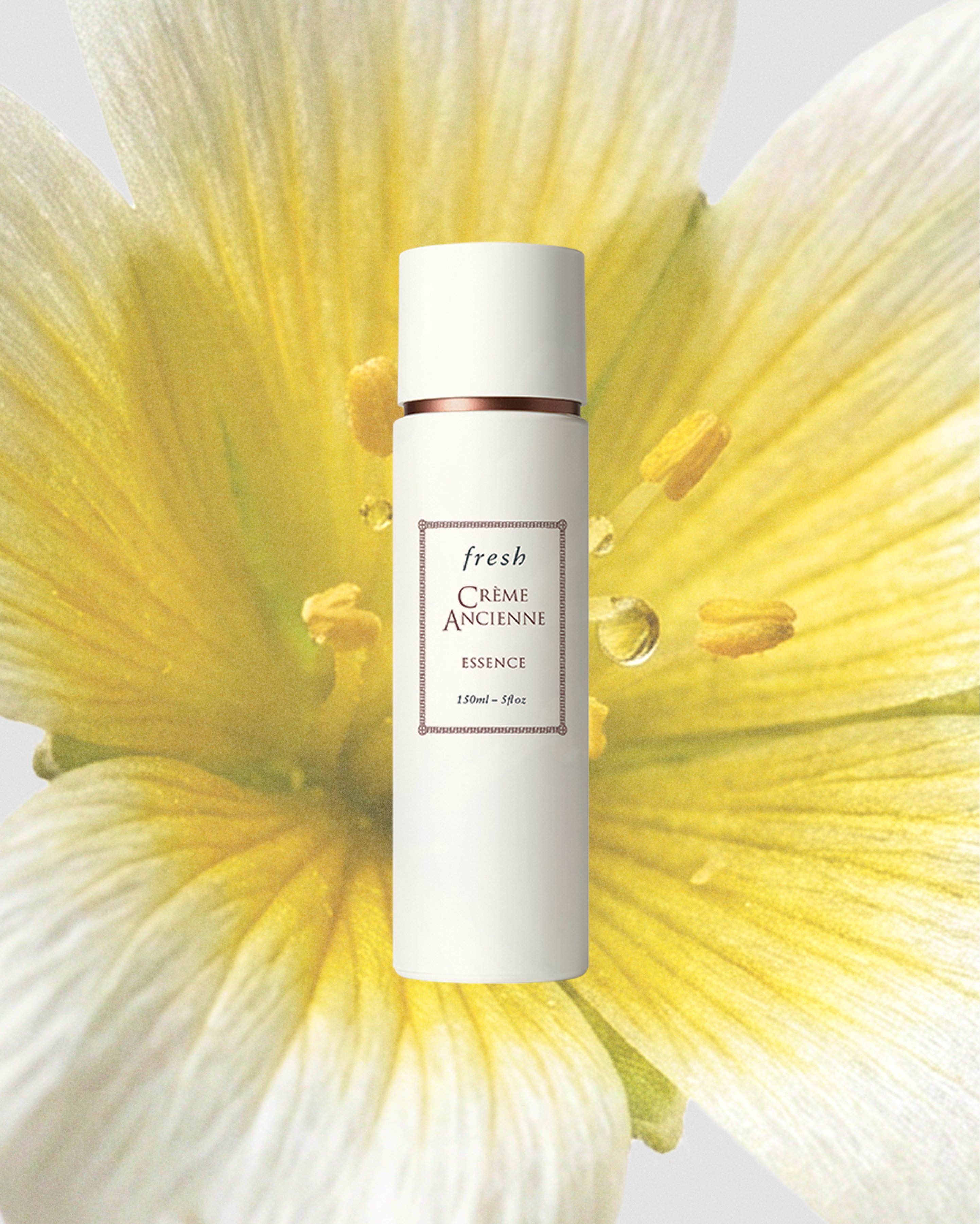 Crème Ancienne Essence | fresh US