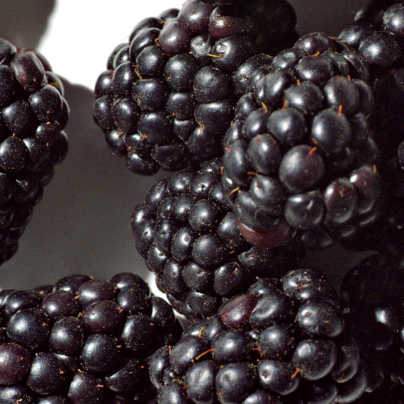 blackberry