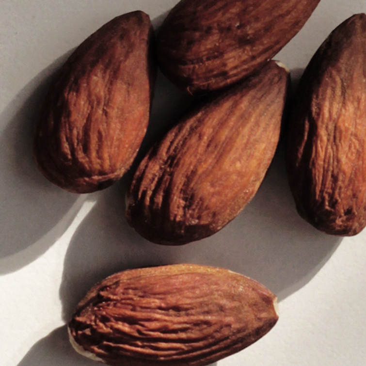 sweet almond
