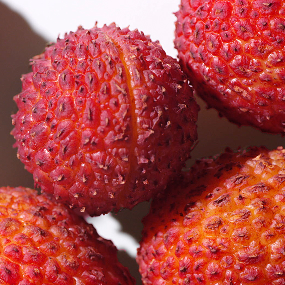 lychee
