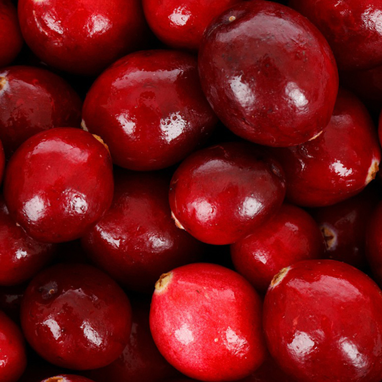 cranberry seed