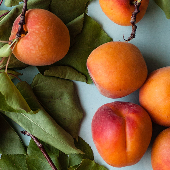apricot