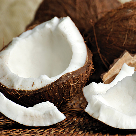 coconut