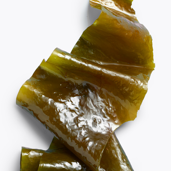 kombu seaweed