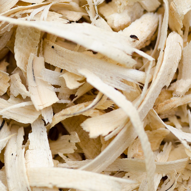 silk tree bark