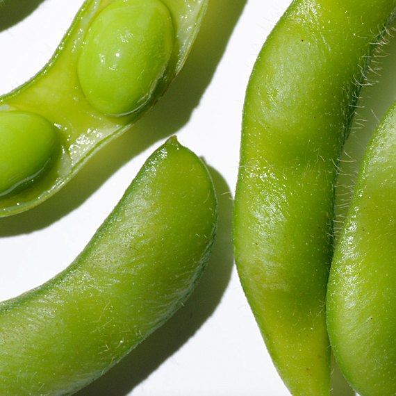 soy